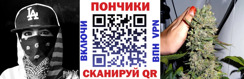 сколько стоит  Петровск-Забайкальский  Бошки Шишки сатива 